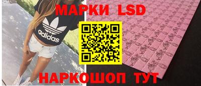 прущие грибы Нальчик