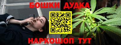 прущие грибы Нальчик