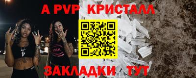 прущие грибы Нальчик